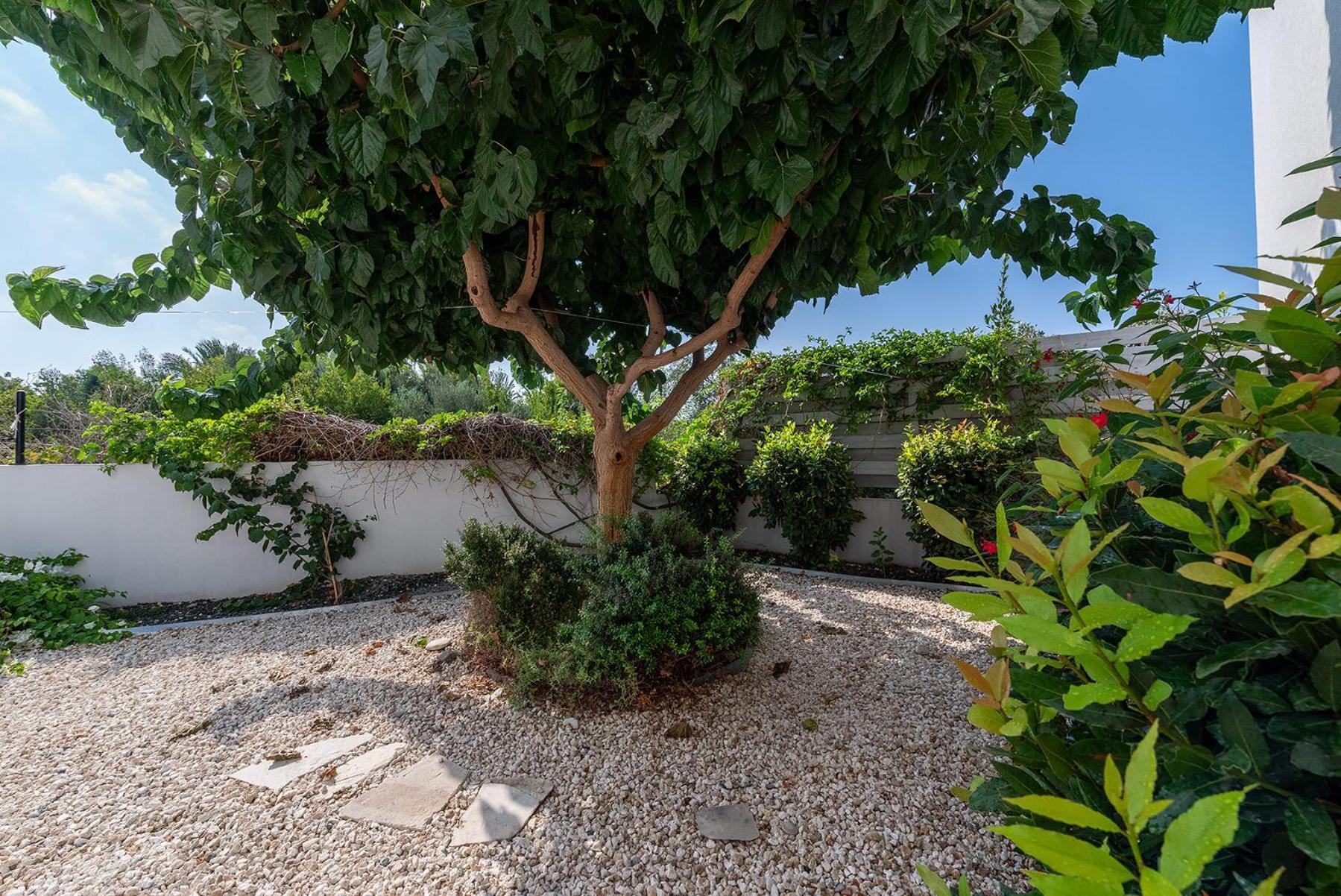 Blue Diamond Beach Villas Pafos Dış mekan fotoğraf